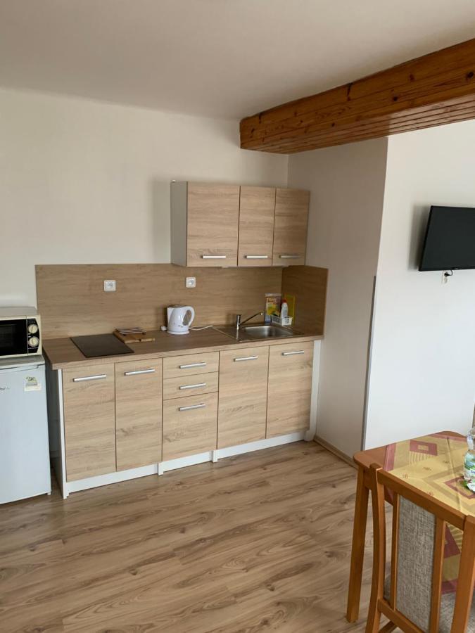 Privat Zelezny Brod Apartment Exterior photo